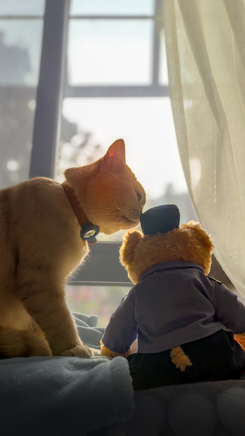 Friendship among animals screenshot