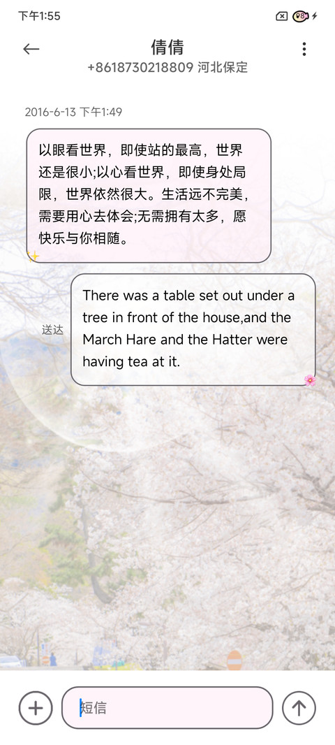 丁达尔 樱花中相遇 screenshot