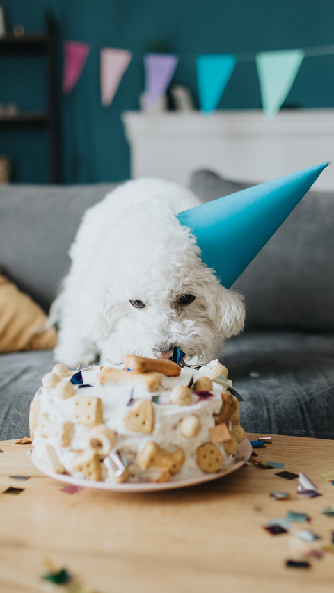 Taste the birthday cake screenshot
