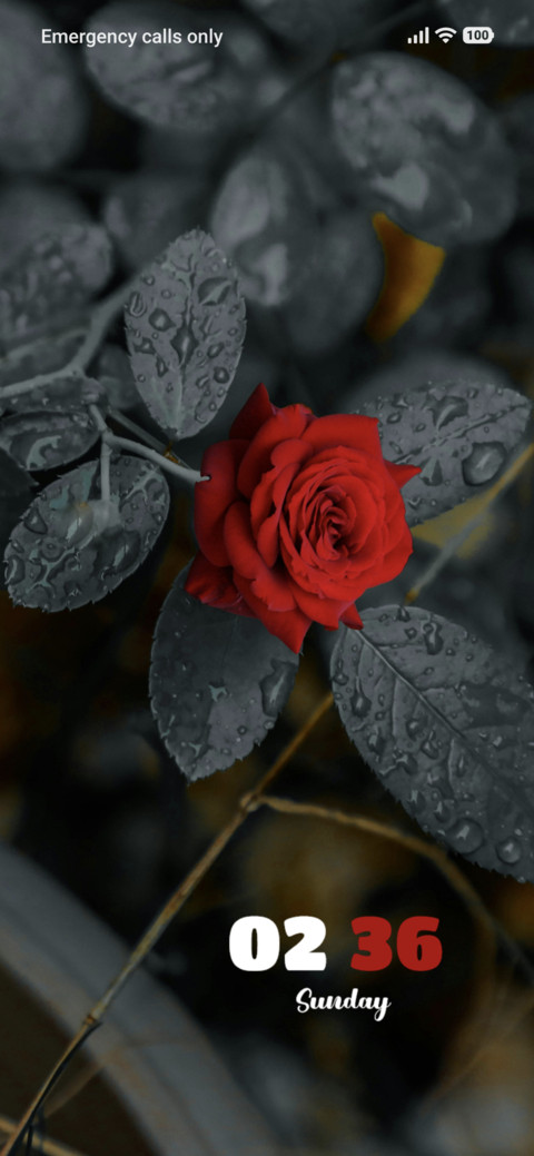 Black Leaves screenshot
