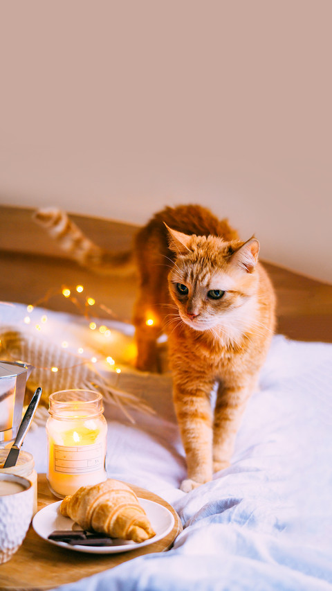 Cozy winter weekend breakfast screenshot