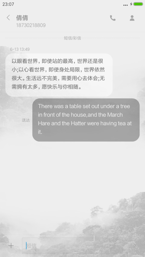 半透 screenshot