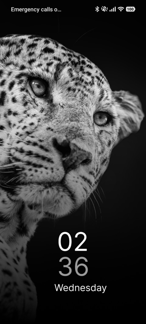 Dark Spottedcat screenshot