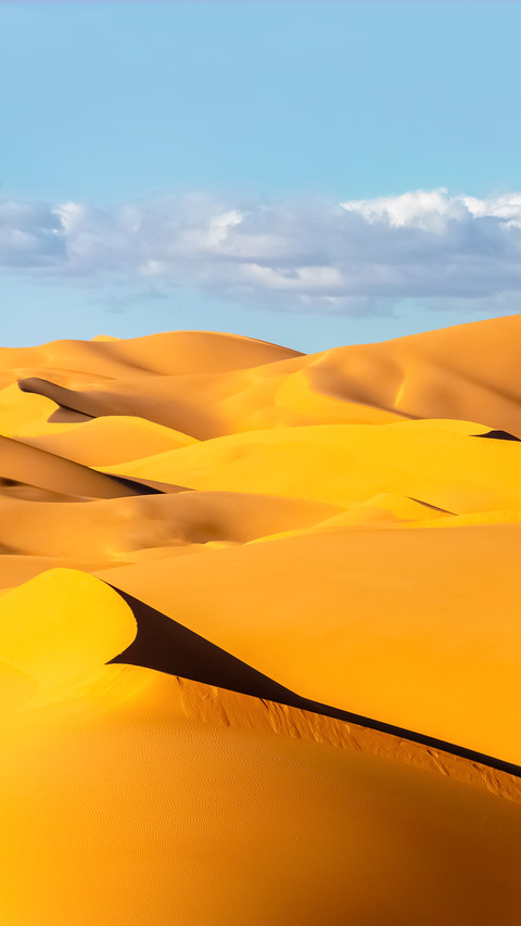 Landscape of the Sahara Desert screenshot