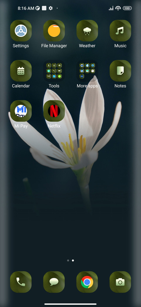 Delicate screenshot