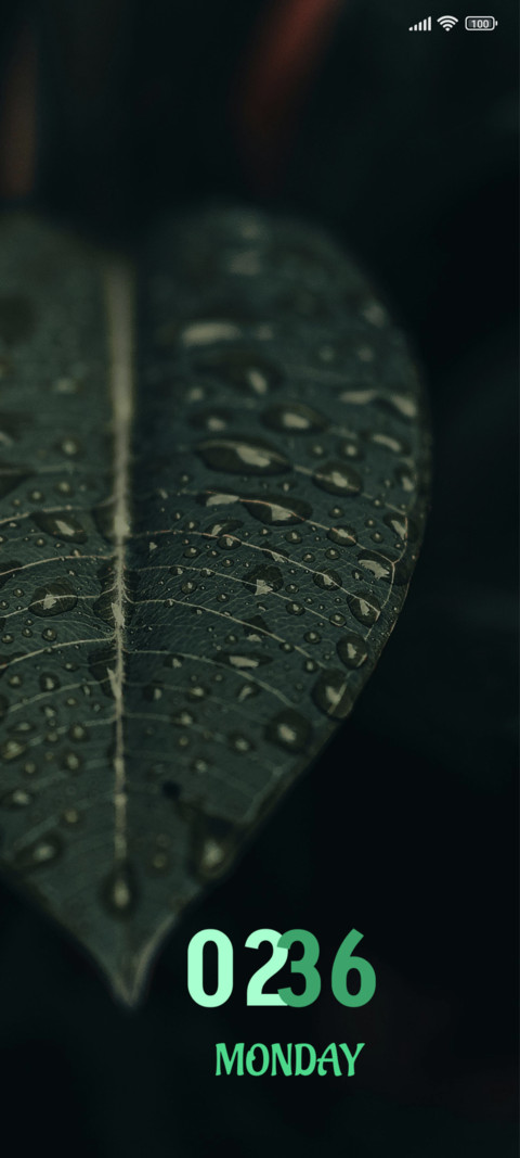 Droplets on Leaf screenshot