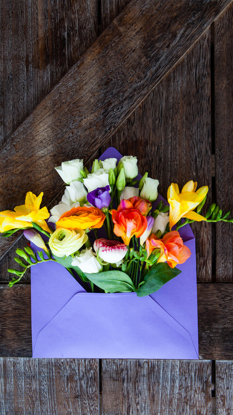 A Letter from Spring screenshot