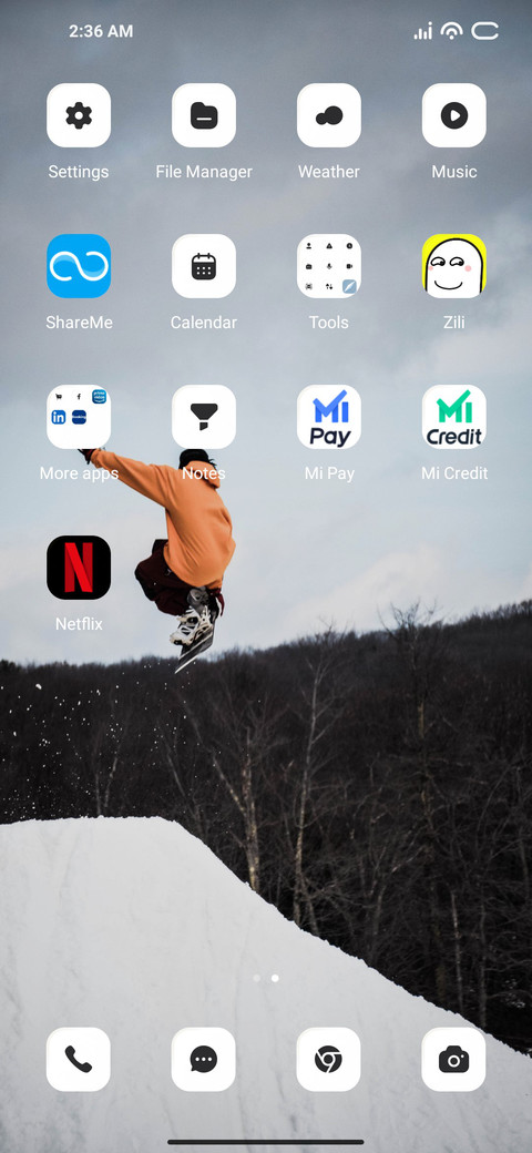 Snow Skiing screenshot