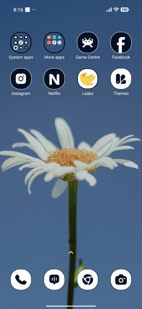 Sky Daisy screenshot