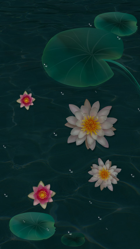 梦幻莲池 screenshot