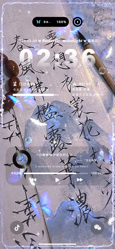 蝴蝶来信 华光流年 screenshot