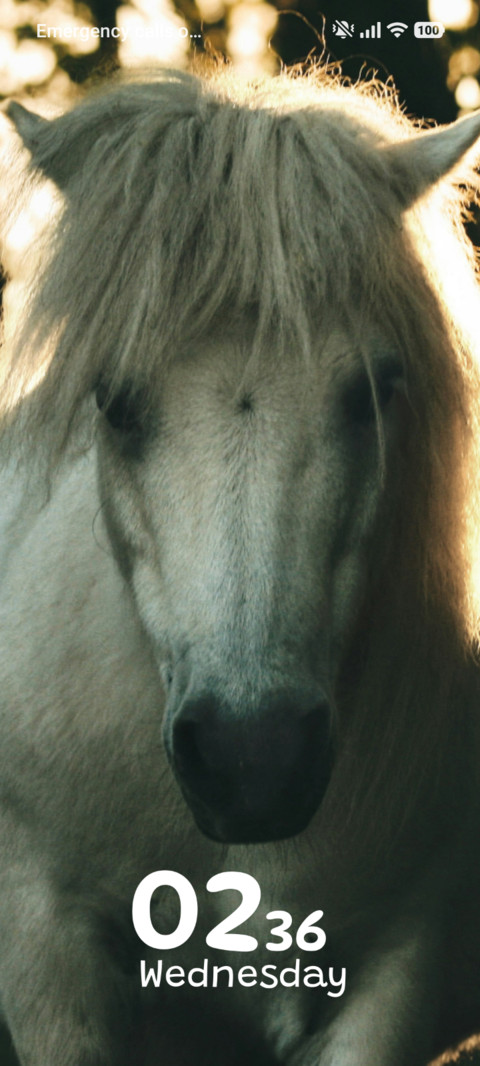 Ivory Stride screenshot