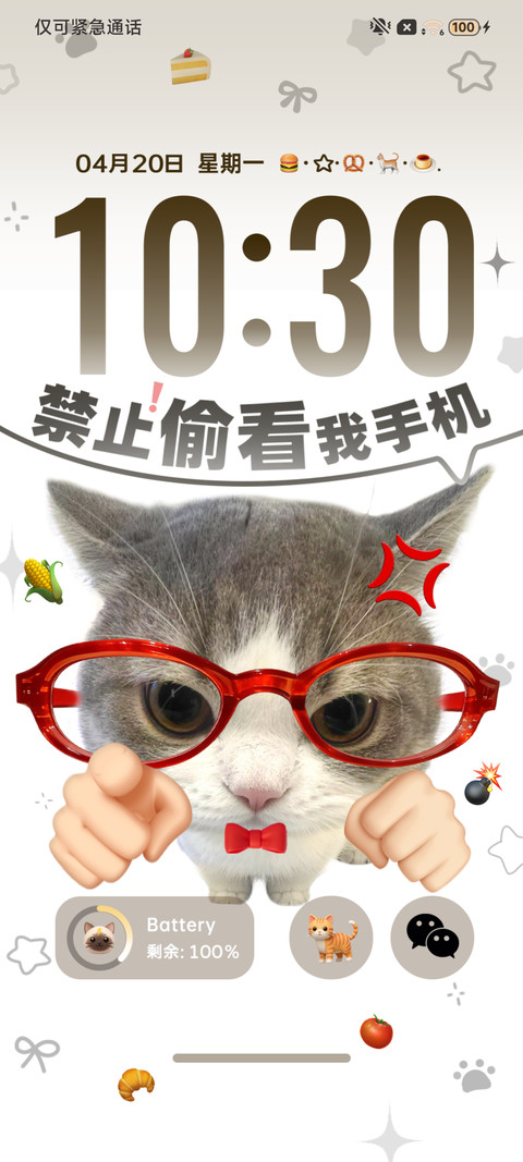 多图 搞怪小猫 screenshot