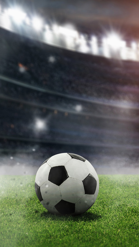 ball on the green field in soccer stadium screenshot