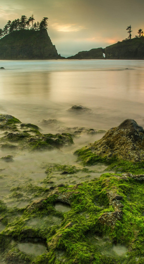 Nature HD - 2020-06-02T124008.876 screenshot