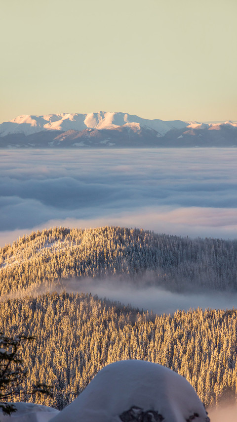 The morning with the fog screenshot