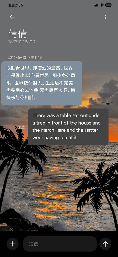 日落海岸 夕阳椰树 screenshot