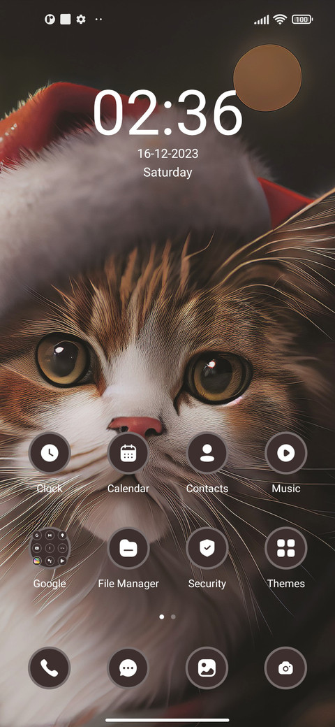 Cat screenshot