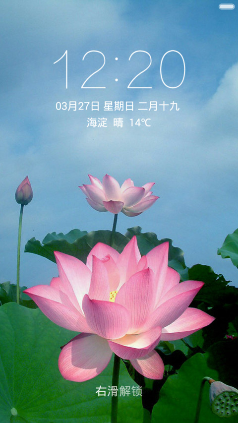 荷花盛开 荷叶正绿 右滑解锁 screenshot