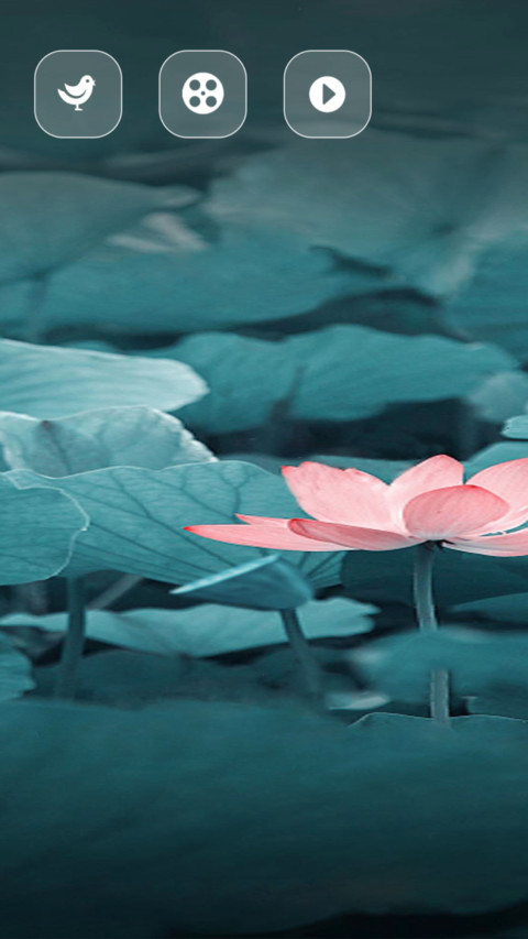 夜荷 screenshot