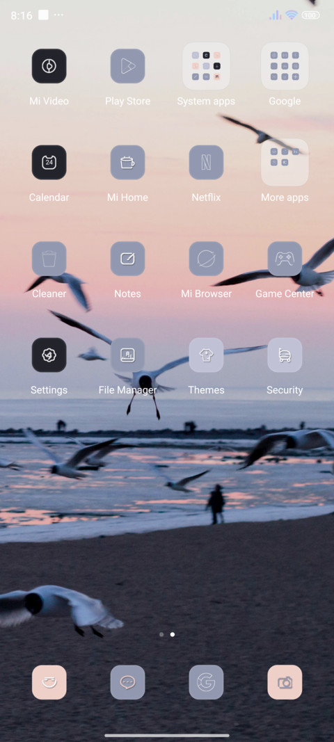 Seagull screenshot