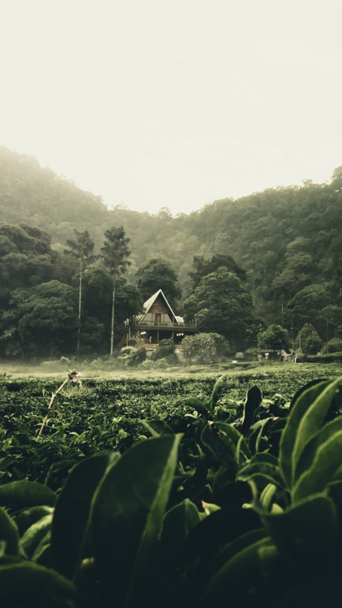 Indonesia (9) screenshot