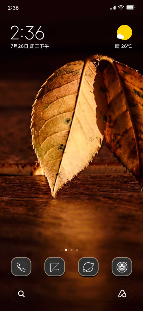 Dark Brown Blush screenshot