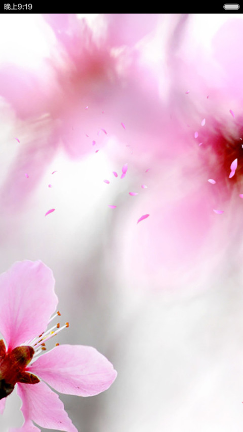 桃花开了（动态花瓣特效） screenshot