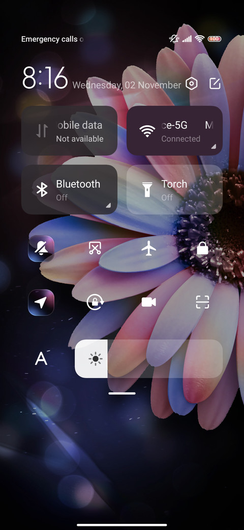 Pink purple flower screenshot