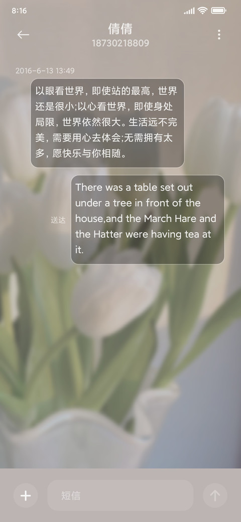 浪漫郁金香组件 screenshot