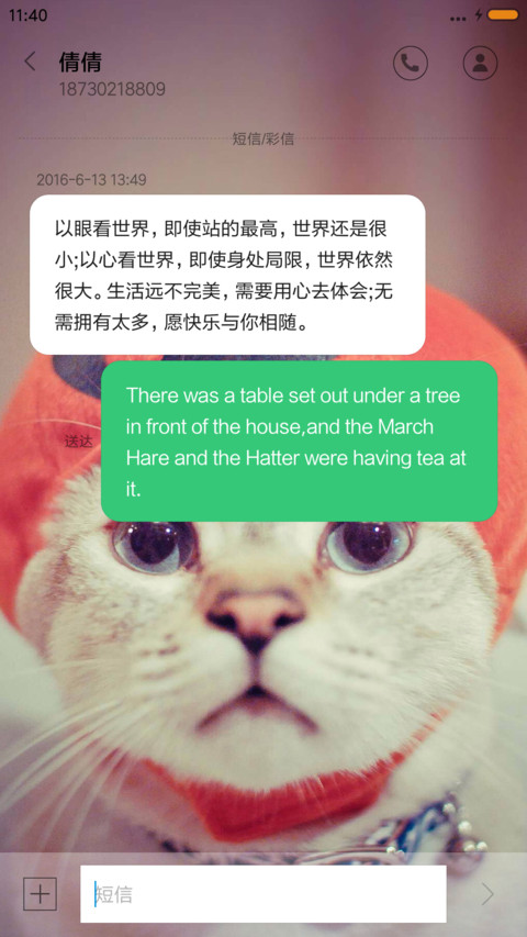萌宠猫咪 screenshot