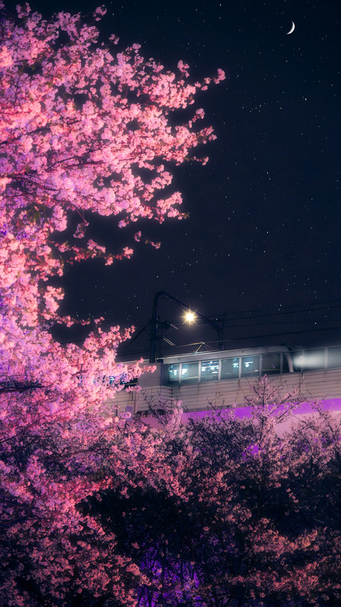 Shanghai limited edition spring same frame screenshot