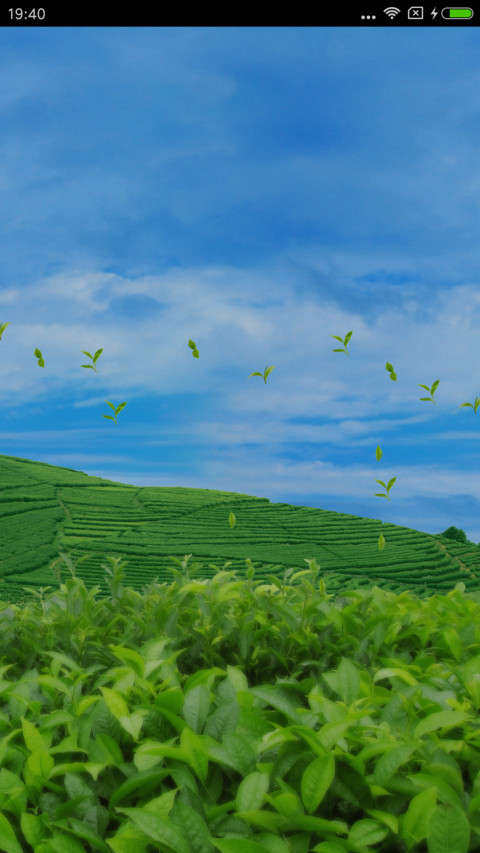 美丽茶园 screenshot