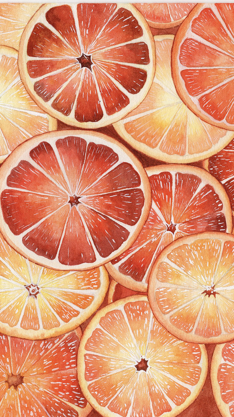 Watercolor Illustration oranges Covered Series screenshot