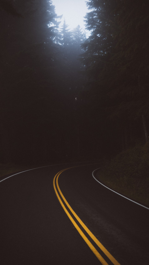 Road Trip (20) screenshot