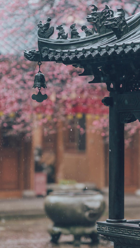 庭院桃花开满园-视觉中国 screenshot