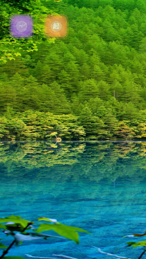 The green screenshot