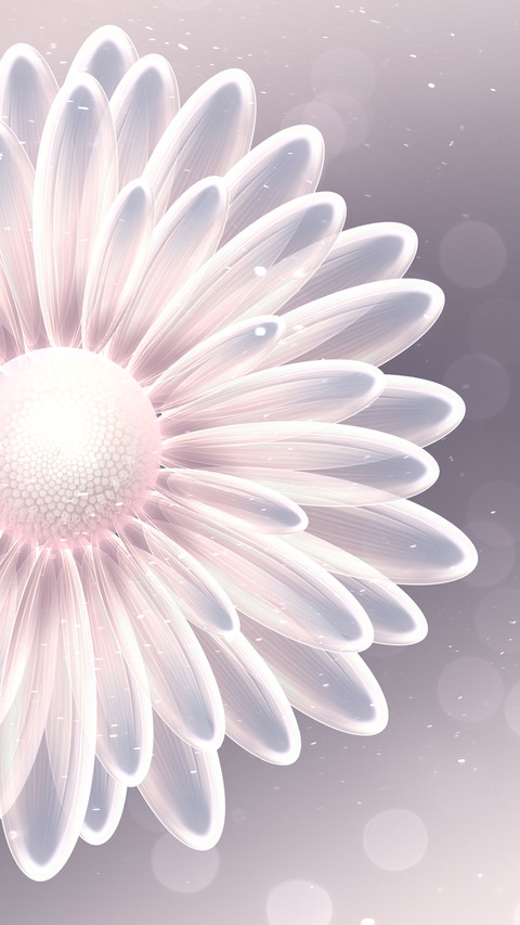 Crystal flower-Desity screenshot