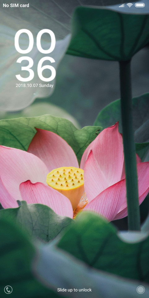 Lotus flower  screenshot