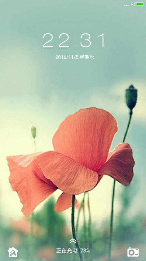 小红花 screenshot