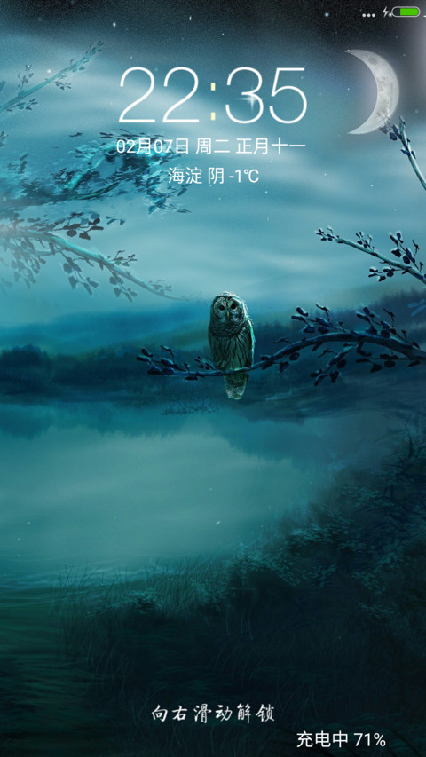 月下猫头鹰 screenshot
