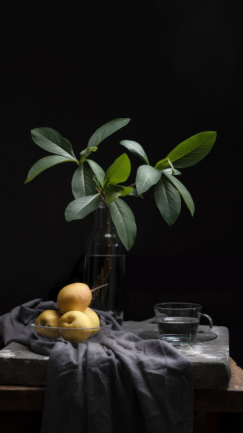 How to Determine whether Plants Like Light 5 screenshot