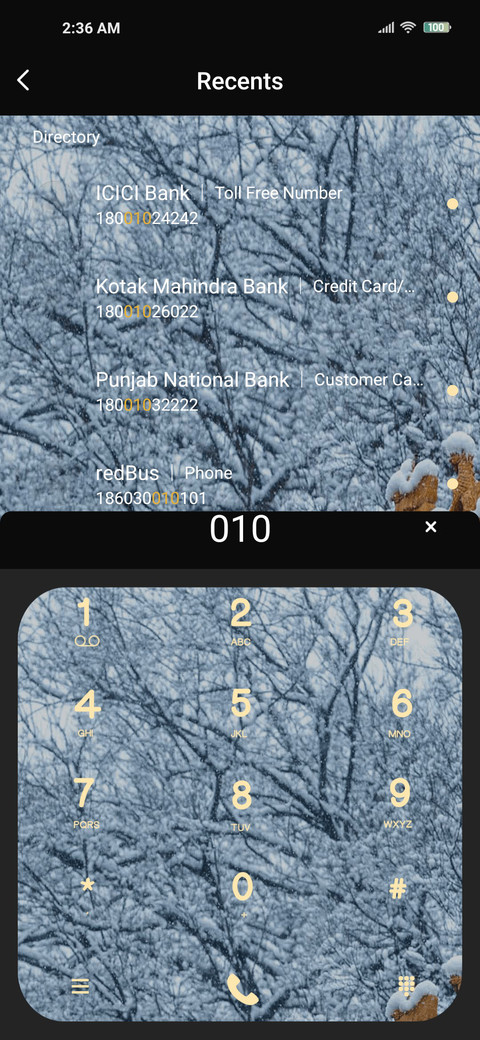 Roof snow screenshot