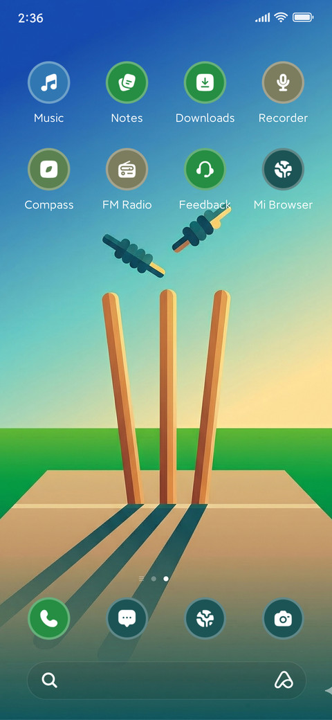 Clean Bowled ? screenshot