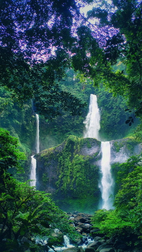 Waterfalls in the forest screenshot