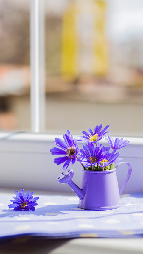 Spring flower arrangement screenshot