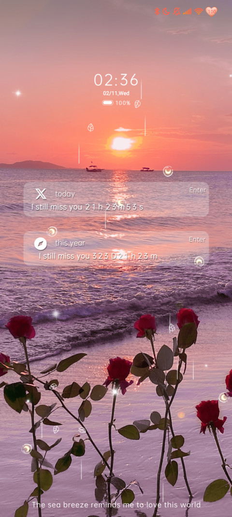 Rose Coast screenshot