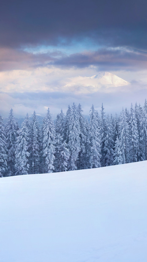 The most beautiful winter in the works of famous writers screenshot