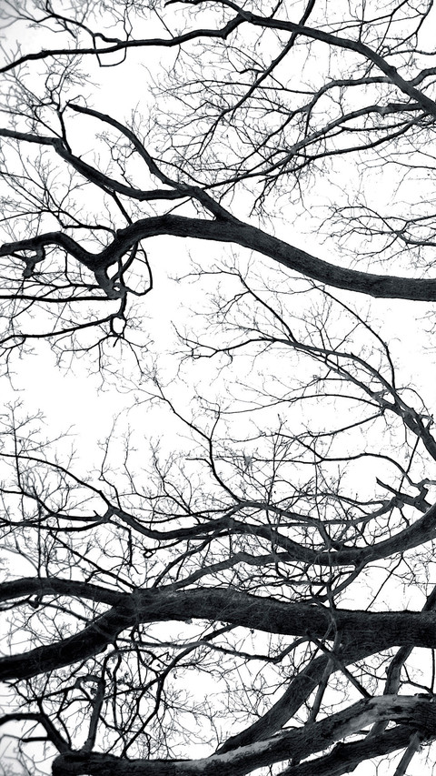 Black and White Photography Art screenshot