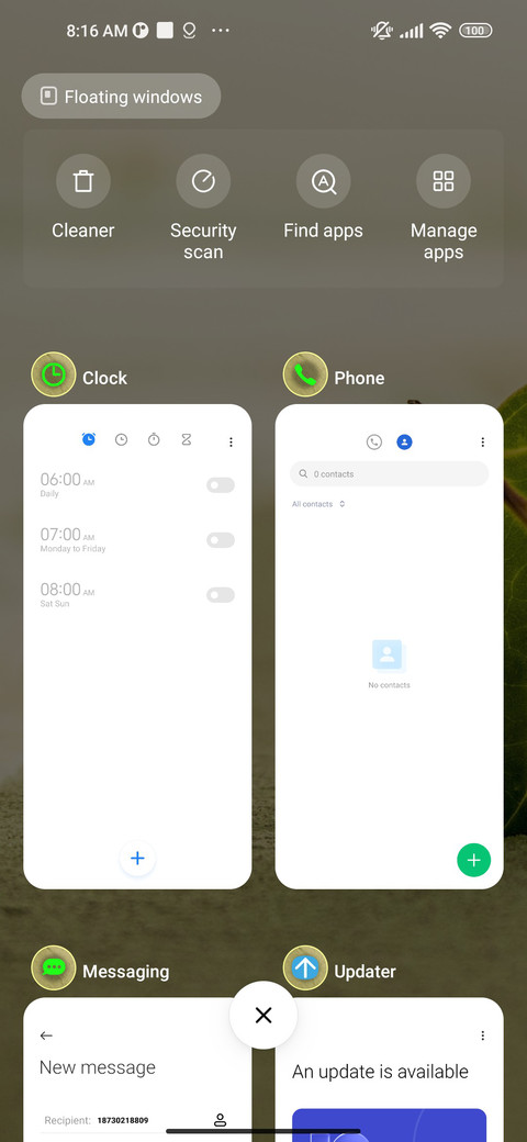 beach leaf screenshot
